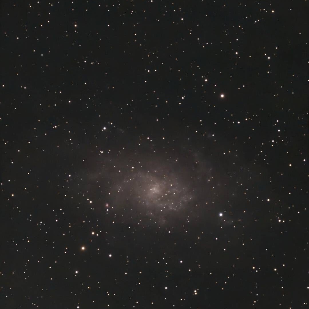 Messier 33, the Triangulum Galaxy, photographed by Shinji